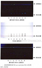 何首乌-不同薄层板薄层色谱图的比较（2）