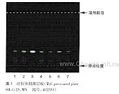 灵芝-不同薄层板薄层色谱图的比较（2）