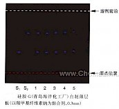 体外培育牛黄-不同薄层板薄层色谱图的比较（6）