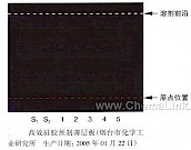 体外培育牛黄-不同薄层板薄层色谱图的比较（5）