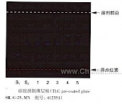 体外培育牛黄-不同薄层板薄层色谱图的比较（2）