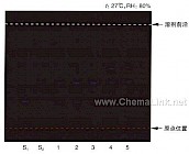 体外培育牛黄-不同薄层板薄层色谱图的比较（1）