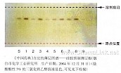 牡丹皮-不同薄层板薄层色谱图的比较(7)