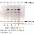 牡丹皮-不同薄层板薄层色谱图的比较(6)