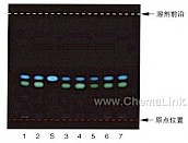 吴茱萸-不同薄层板薄层色谱图的比较（2）