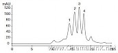 蛋白质在BioSep－SEC－S4000上的凝胶过滤