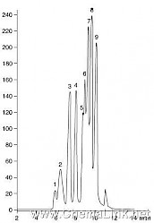 蛋白质和肽在BioSep－SEC－S2000上的体积排阻色谱