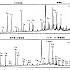 脱甲基三环萜烷类和17α(H)-25-降藿烷类质量色谱图