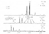 C27～C29，螺旋甾烯质量色谱图