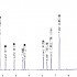白酒13组分