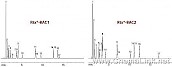 溶剂残留分析 顶空进样 Rtx-BAC1 Rtx-BAC2