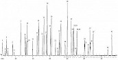 EPA方法TO-14 Rtx-1