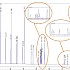 Food Industry FAME Mix (37 components)