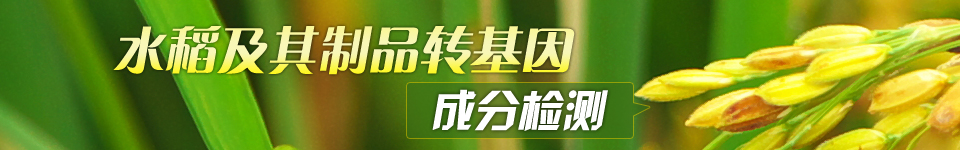 水稻及其制品中转基因成分的检测