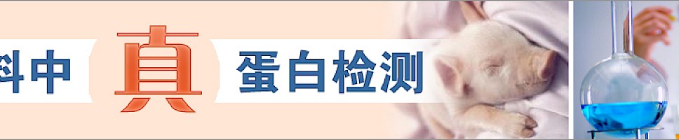 饲料中真蛋白检测