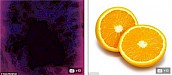 显微镜下橙子照片