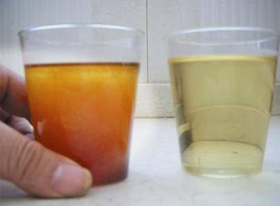 地沟油鉴别仪器问世