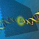 纳米生物技术可监控病毒感染过程