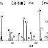 杀螨硫磷砜 Carbophenoxon sulfone-质谱图