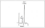 HPLC-CS5同时分离三价铬和六价铬